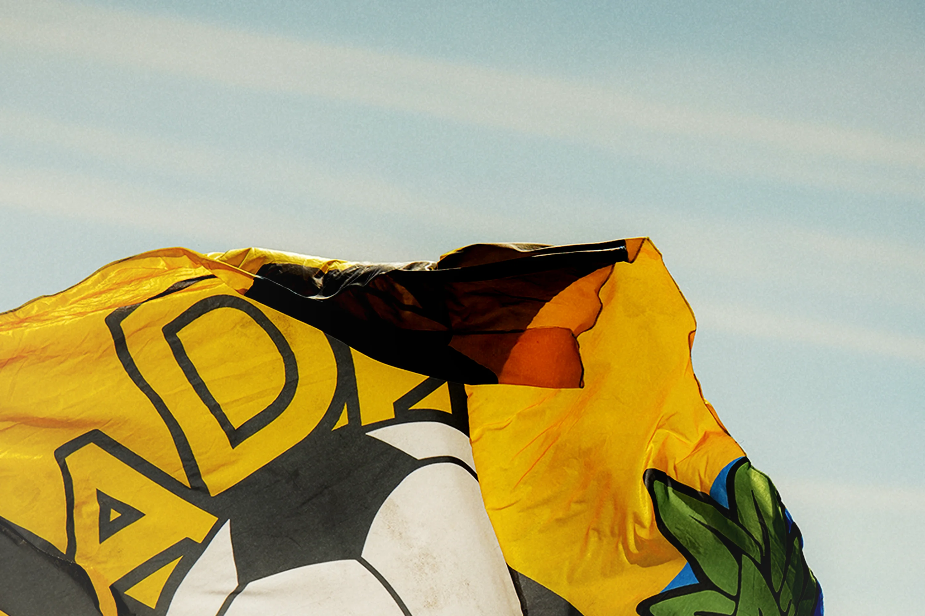 Agrupación Deportiva Alcorcón